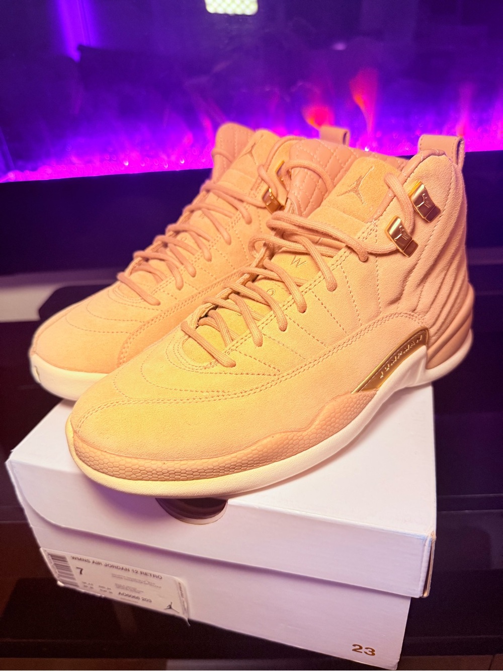 Air Jordan 12 Retro